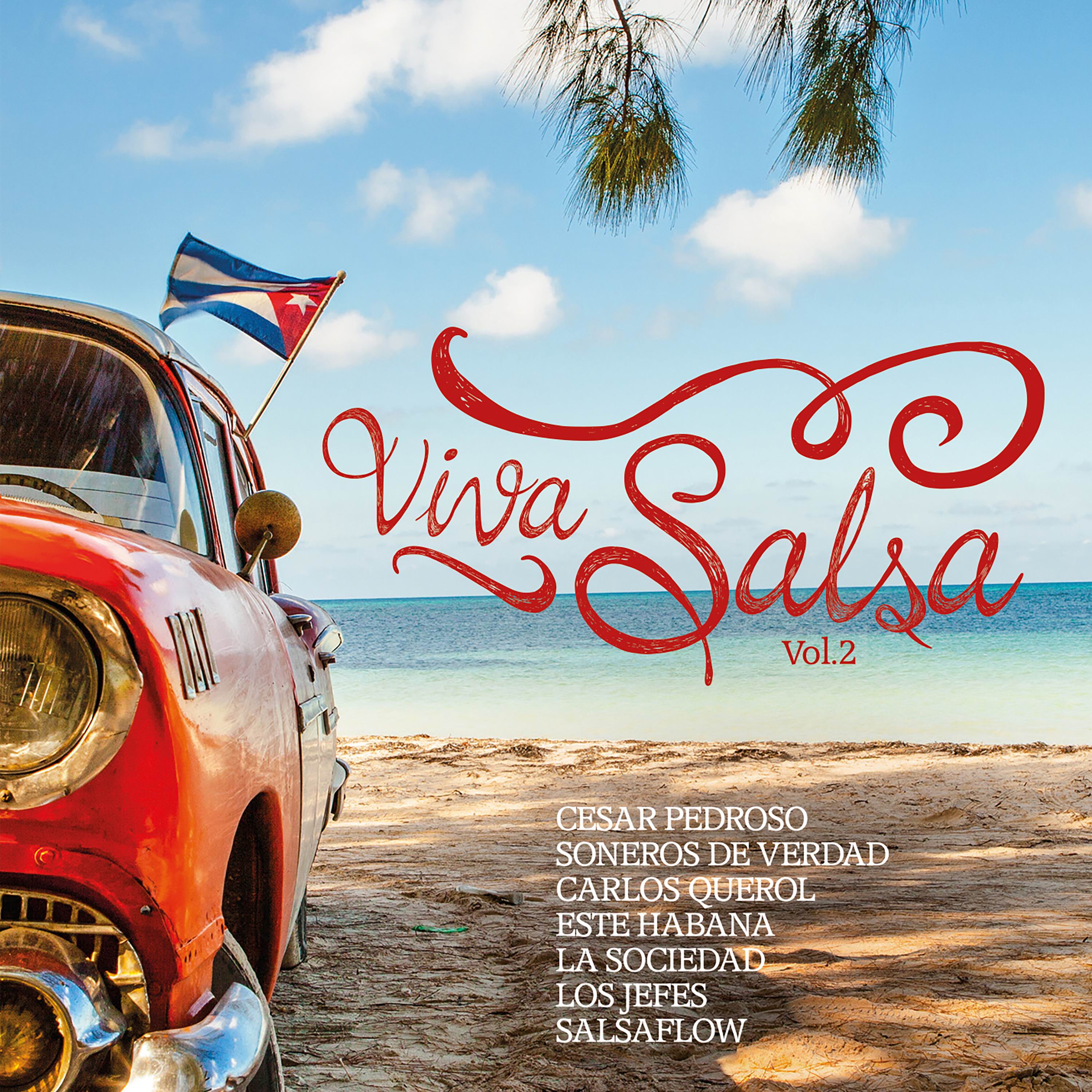 VIVA SALSA VOL. 2