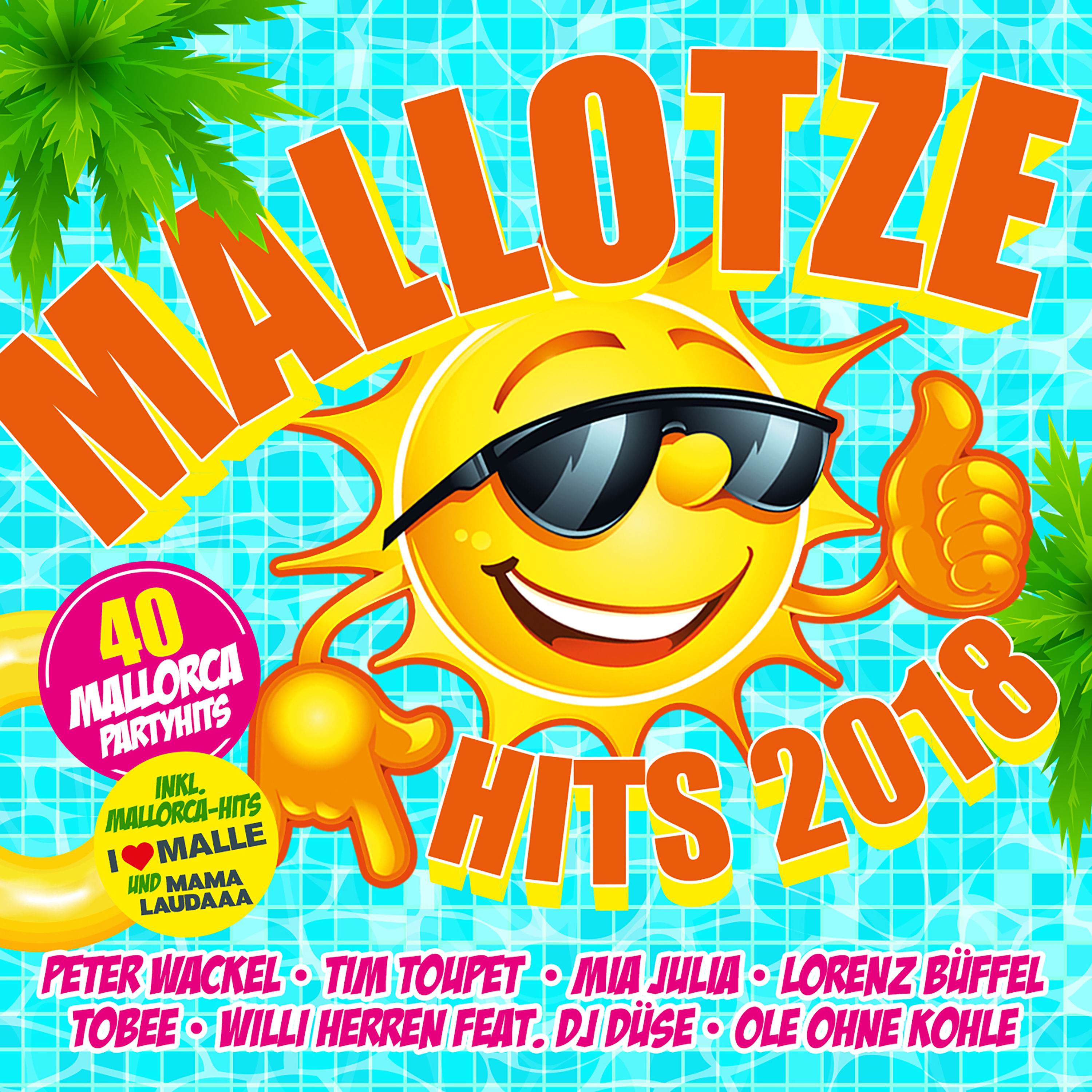 MALLOTZE HITS 2018