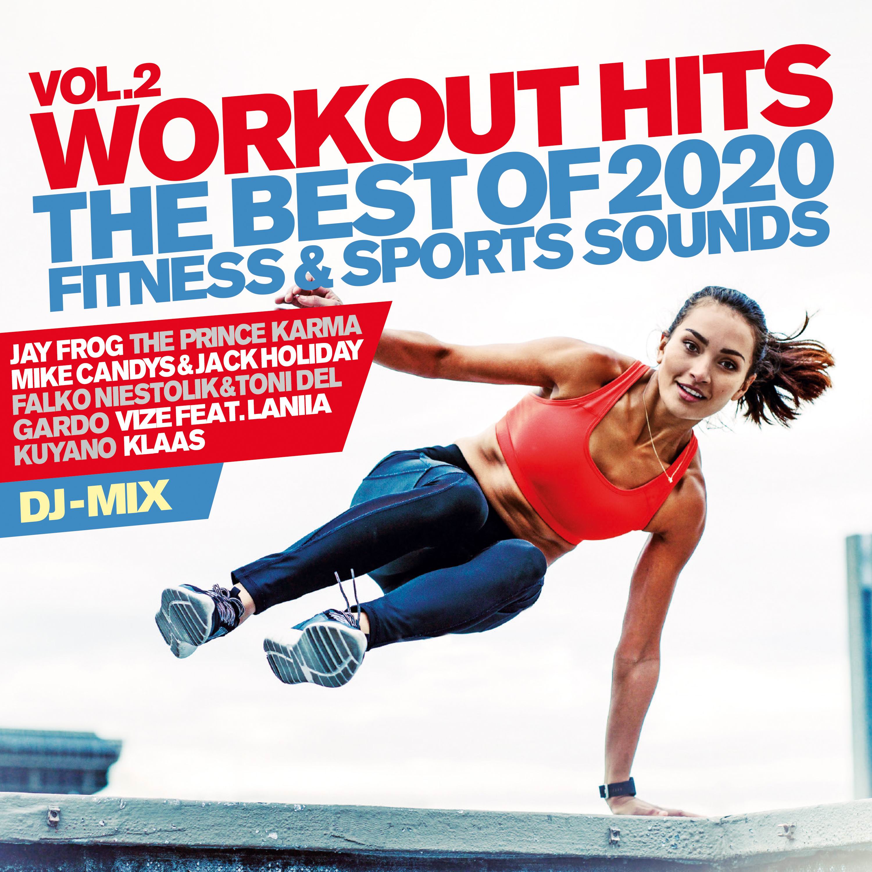 WORKOUT HITS VOL. 2